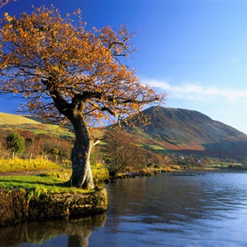 Autumn Tints Lakes - Bowness, Ambleside