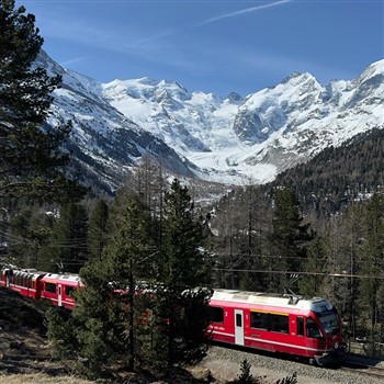 Rhine Cruise & Glacier Express with Joan & David
